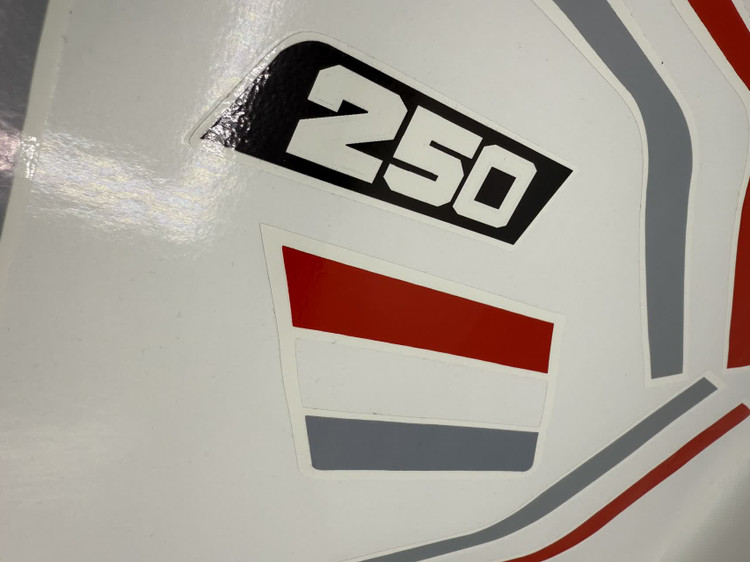 برچسب باک سوزوکی TS 250